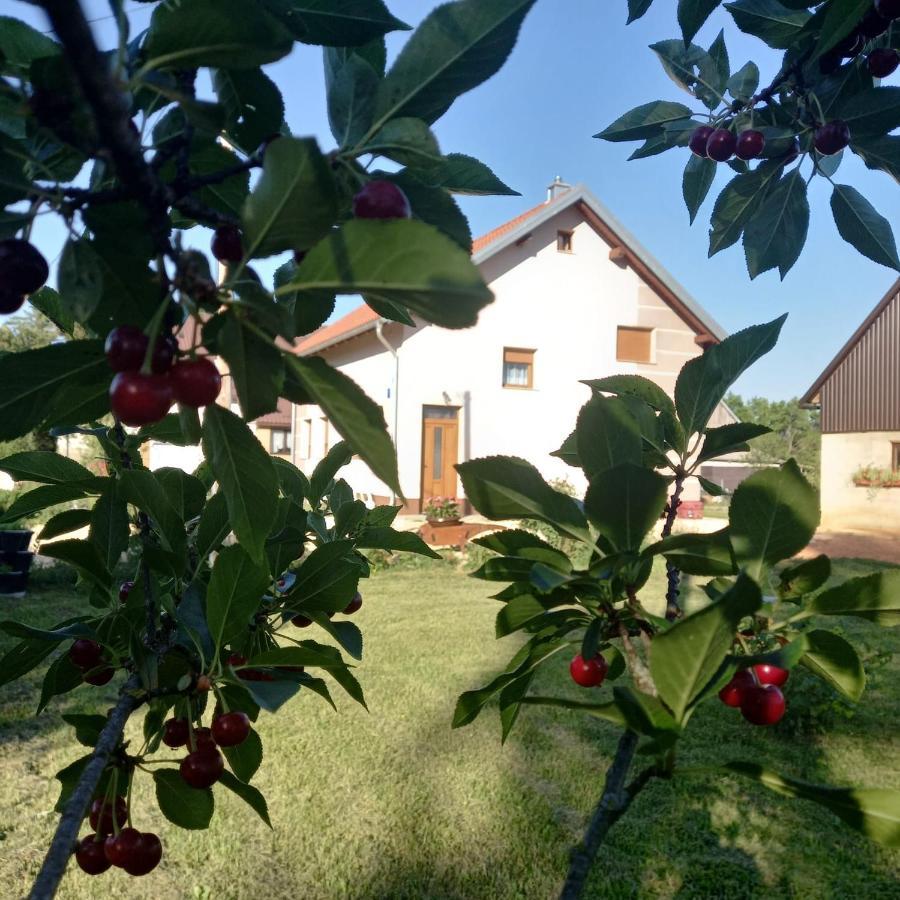 Kuca Za Odmor Boki Villa Gospić Dış mekan fotoğraf