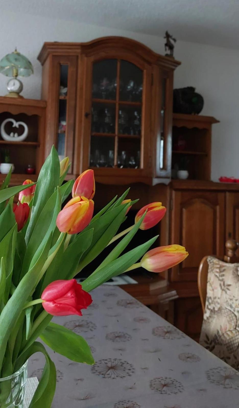 Kuca Za Odmor Boki Villa Gospić Dış mekan fotoğraf
